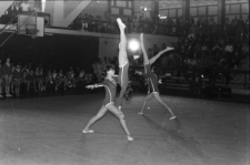 Pokazy gimnastyczne w hali MOSiR w Lublinie