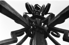 Skan Negatywu, Sygnatura 132