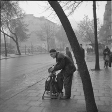 Skan Negatywu, Sygnatura 1904