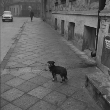 Skan Negatywu, Sygnatura 1904