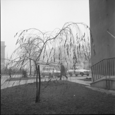 Skan Negatywu, Sygnatura 1904