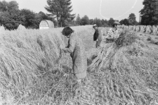 Skan negatywu, sygnatura 2861