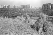 Skan negatywu, sygnatura 2861