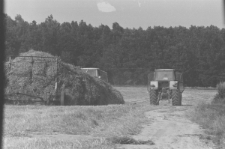 Skan negatywu, sygnatura 2861