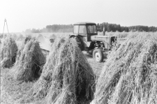 Skan negatywu, sygnatura 2861