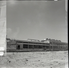 Skan negatywu, sygnatura 907