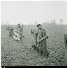 Skan Negatywu, Sygnatura 1943