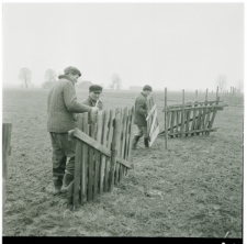 Skan Negatywu, Sygnatura 1943