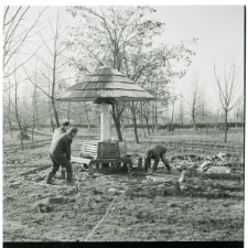 Skan Negatywu, Sygnatura 1953