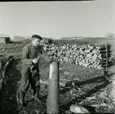 Skan Negatywu, Sygnatura 1956