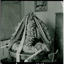 Skan Negatywu, Sygnatura 1311