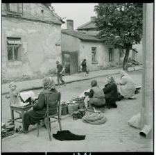 Skan Negatywu, Sygnatura 1311