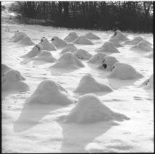 Skan Negatywu, Sygnatura 2224