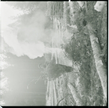 Skan Negatywu, Sygnatura 2227