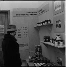 Skan Negatywu, Sygnatura 2450