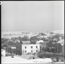 Skan Negatywu, Sygnatura 2231