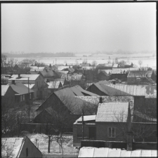 Skan Negatywu, Sygnatura 2231