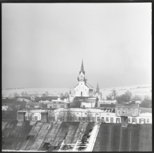 Skan Negatywu, Sygnatura 2231