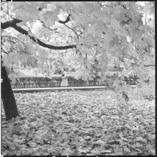 Skan Negatywu, Sygnatura 1725