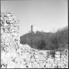 Skan Negatywu, Sygnatura 2294