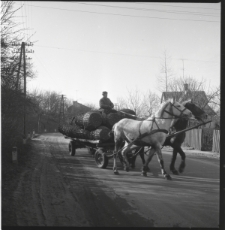 Skan Negatywu, Sygnatura 2294