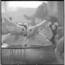 Skan negatywu, Sygnatura 1976