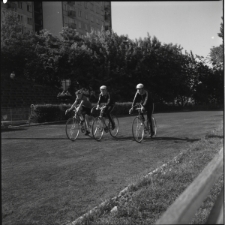 Skan Negatywu, 1 - 12 Migawki