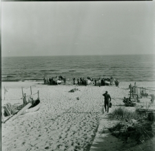 Skan negatywu, sygnatura 1254