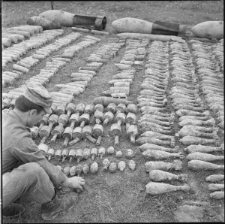 Skan negatywu, sygnatura 1282