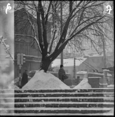 Skan Negatywu, Sygnatura 2437