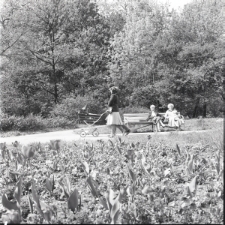 Skan Negatywu, Sygnatura 1707