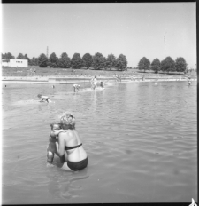 Skan Negatywu, Sygnatura 452