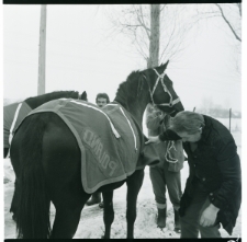 Skan Negatywu, Sygnatura 2847