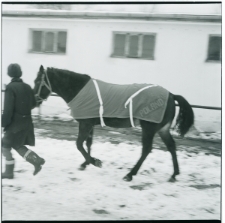 Skan Negatywu, Sygnatura 2847