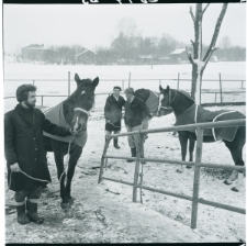 Skan Negatywu, Sygnatura 2847