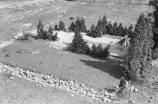 Skan Negatywu, Sygnatura 1659