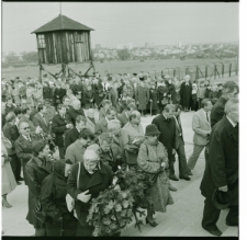 Skan Negatywu, 1 - 12 Manifestacja na Majdanku