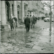 Skan Negatywu, Sygnatura 1744