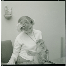 Skan Negatywu, Sygnatura 119