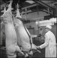 Skan Negatywu, Sygnatura 3891