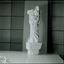 Skan Negatywu, Sygnatura 3892