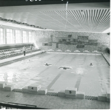 Skan Negatywu, Sygnatura 4081