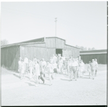 Skan Negatywu, Sygnatura 4164