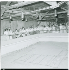 Skan Negatywu, Sygnatura 4165