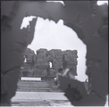 Skan Negatywu, Sygnatura 4410