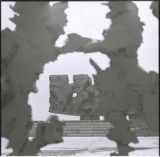 Skan Negatywu, Sygnatura 4410