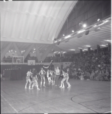 Skan Negatywu, Sygnatura 5350