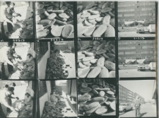 Wgląd&oacute;wka, 1 &ndash; 9 Chleb na śmietniku przed pawilonem handlowym w osiedlu Maki, 10 &ndash; 12 Osiedle Maki