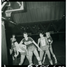 Skan Negatywu, Sygnatura 5351