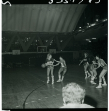 Skan Negatywu, Sygnatura 5351